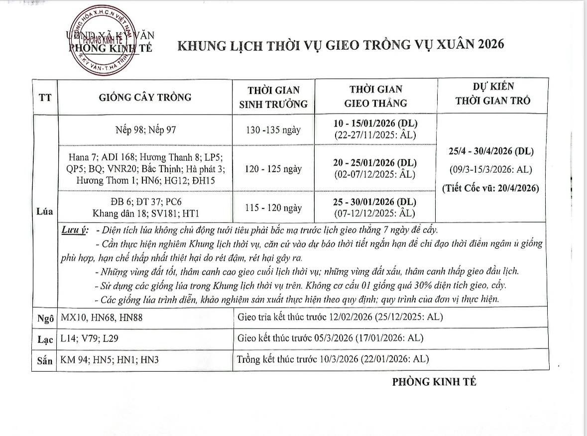 UBND xã Kỳ Văn thông báo về khung lịch thời vụ gieo trồng vụ Xuân năm 2026