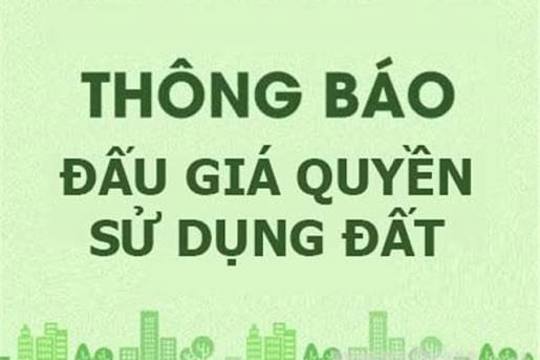 Thông báo đấu giá quyền sử dụng đất đối với 11 lô đất ở thuộc các quy hoạch xen dắm dân cư trên địa bàn xã Kỳ Văn