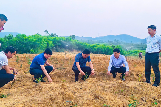 Đồng chí Hồ Huy Thành - Phó Chủ tịch UBND tỉnh trực tiếp kiểm tra công tác sản xuất nông nghiệp tại xã Kỳ Văn 