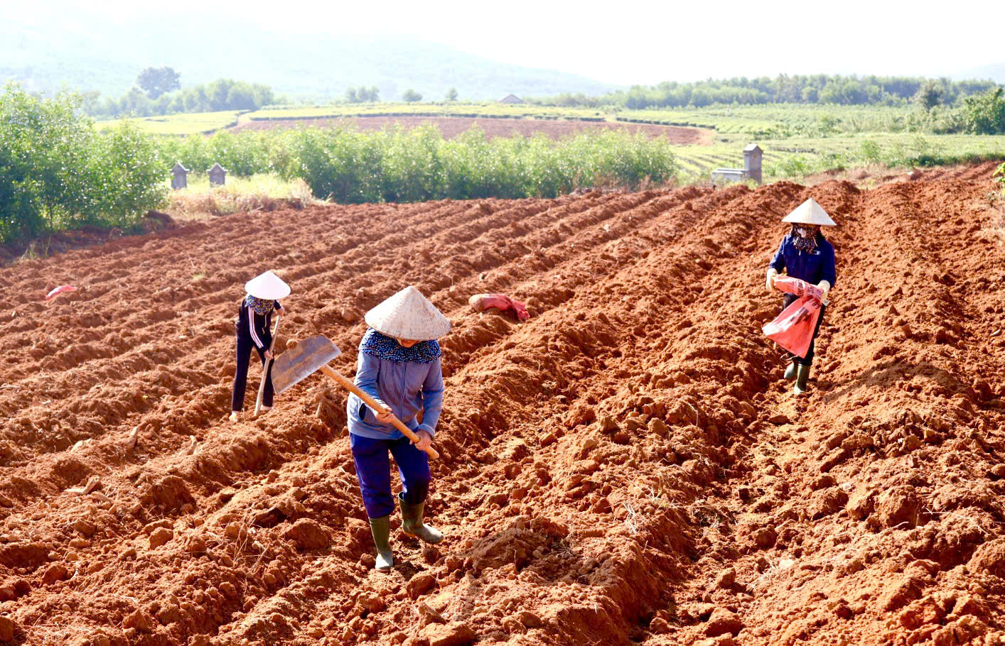 Người dân xã Kỳ Văn tích cực cải tạo đất, chuẩn bị mở rộng diện tích trồng chè