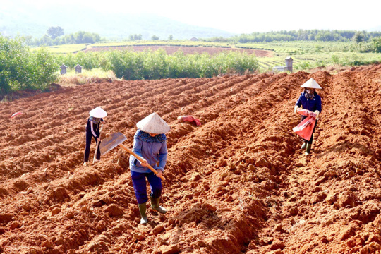 Người dân xã Kỳ Văn tích cực cải tạo đất, chuẩn bị mở rộng diện tích trồng chè