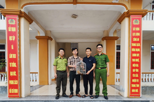 Bàn giao 01 cá thể Culi nhỏ thuộc Nhóm IB cho lực lượng chức năng