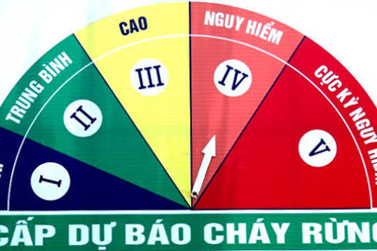 Thông tin cấp dự báo cháy rừng ngày 30/6/2026