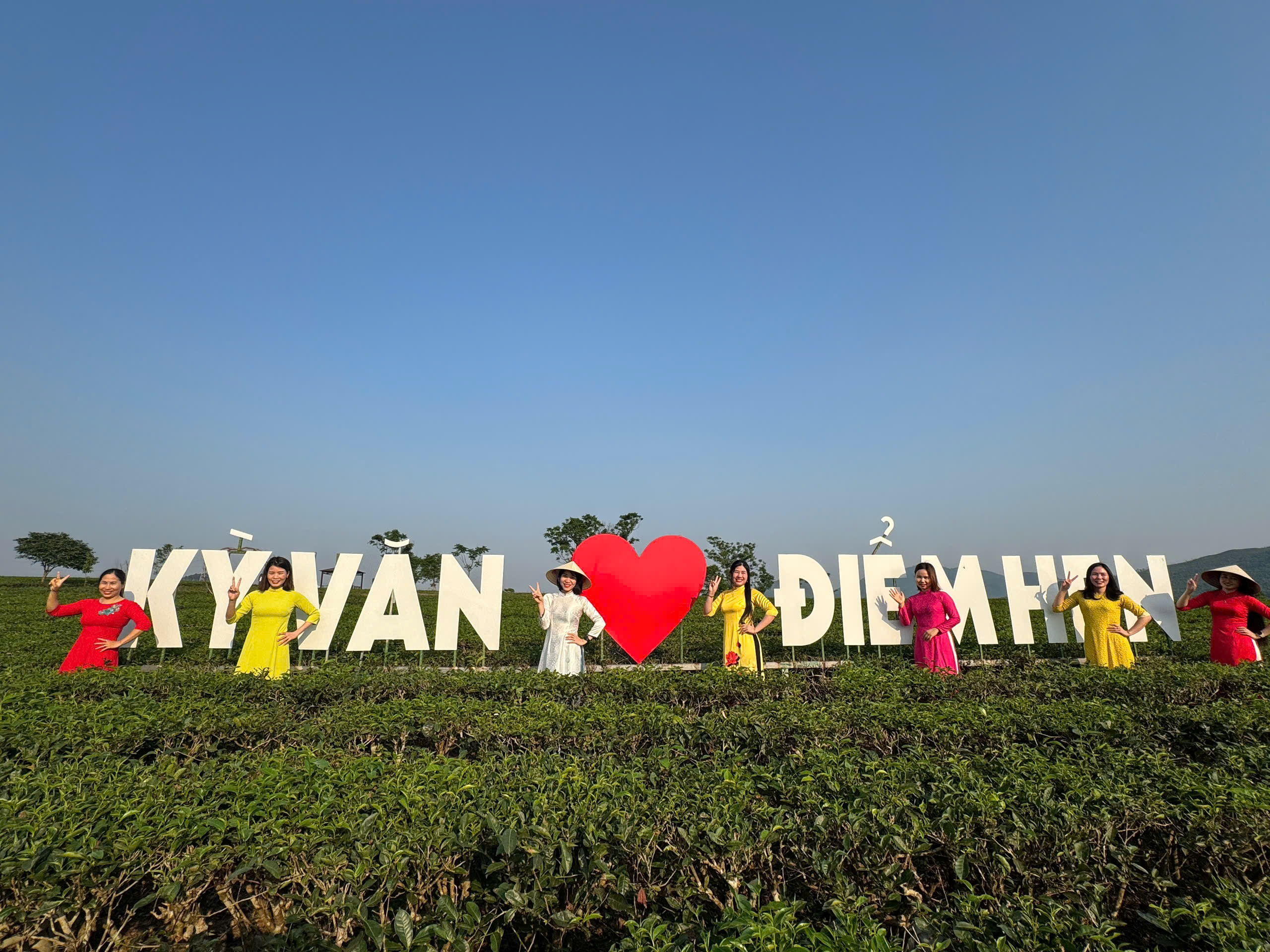 Đồi chè Kỳ Văn - Điểm du lịch lý tưởng cho du khách gần xa