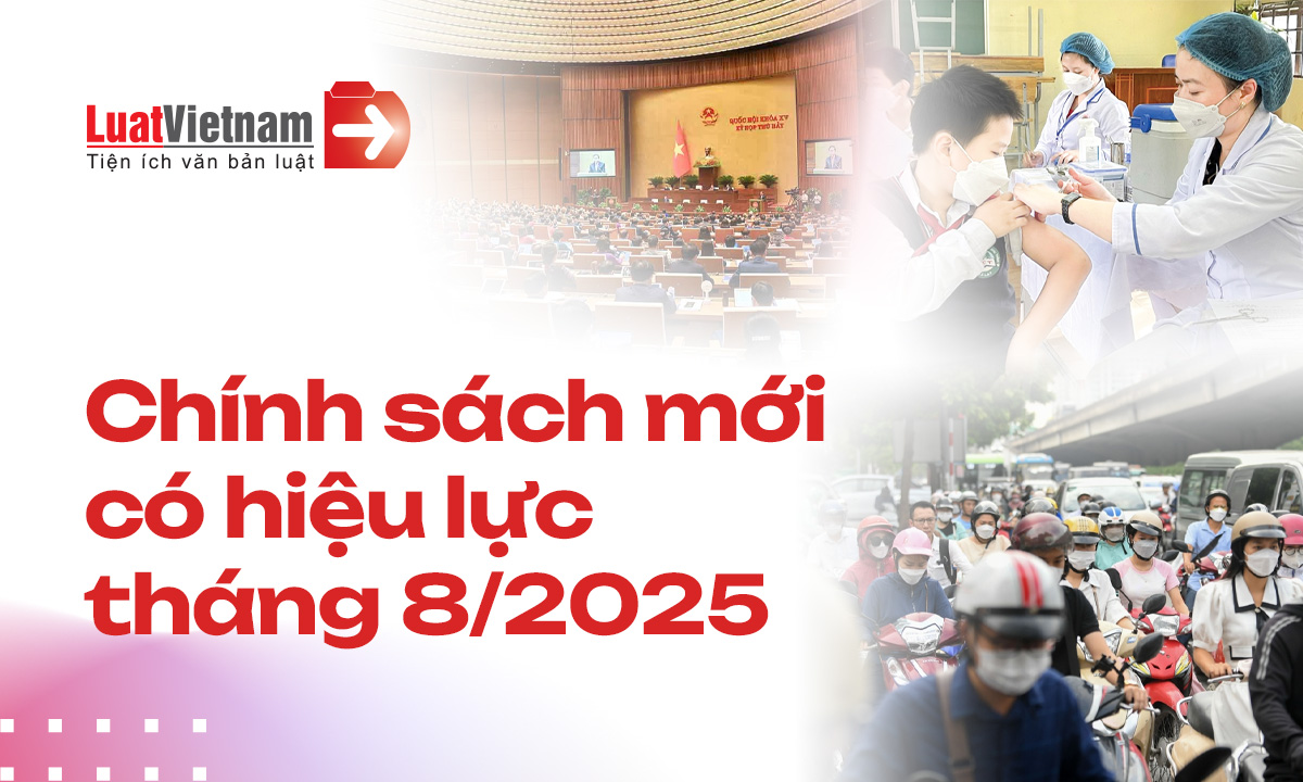Danh mục văn bản có hiệu lực từ Tháng 8/2025